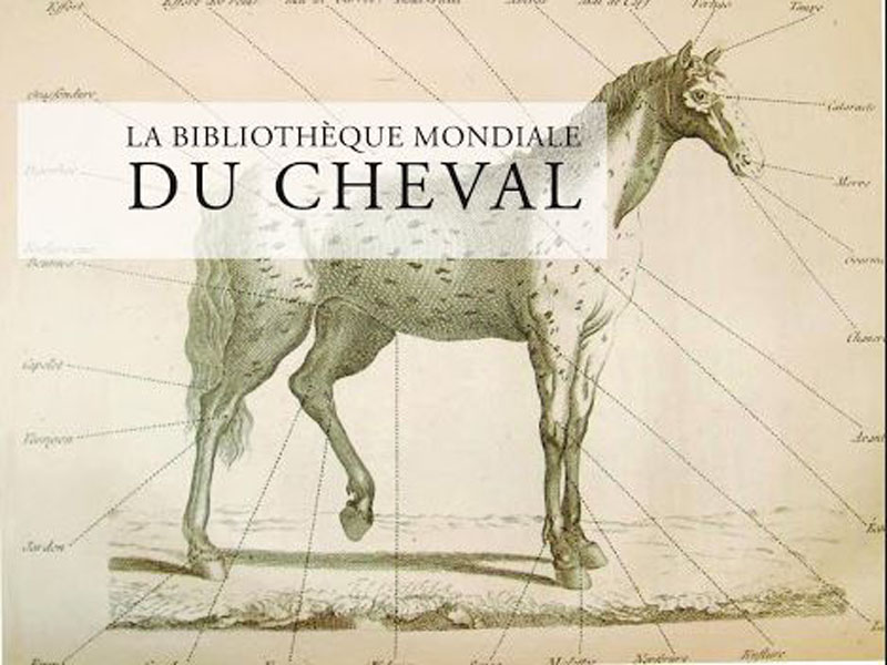 Colloque de la Bibliothèque Mondiale du Cheval