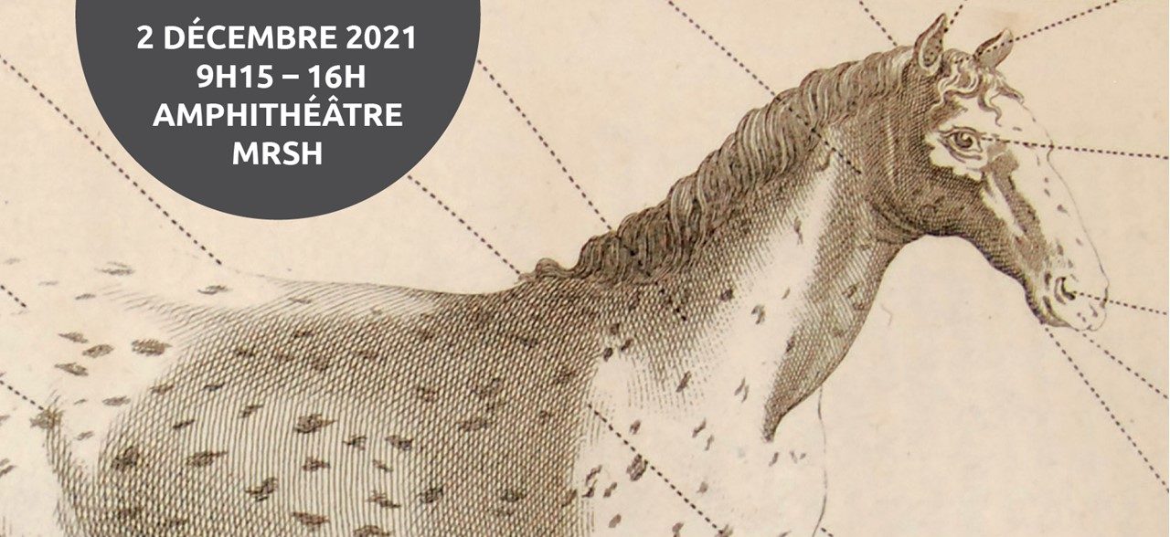 Colloque de la Bibliothèque Mondiale du Cheval