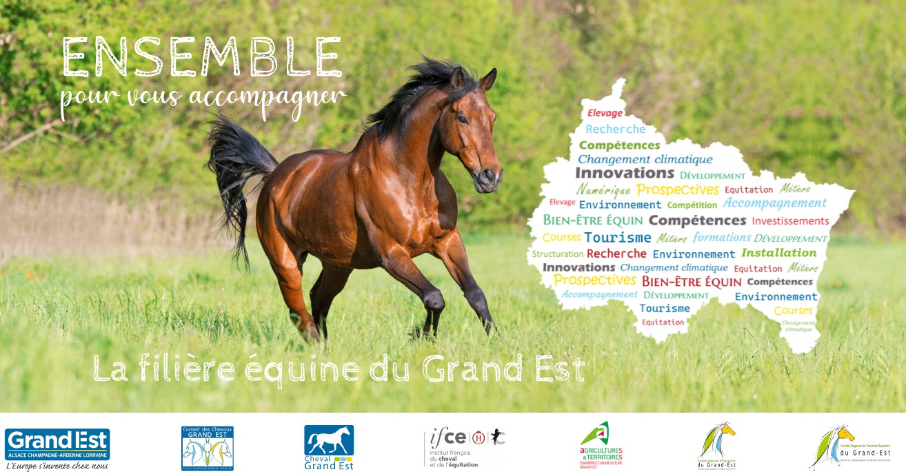 Le Conseil des Chevaux présent à Cheval Expo Nancy !