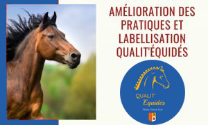 formation améliorer ses pratiques bien-être, biosécurité et environnement pour préparer les labels Qualit'Equidés et HVE