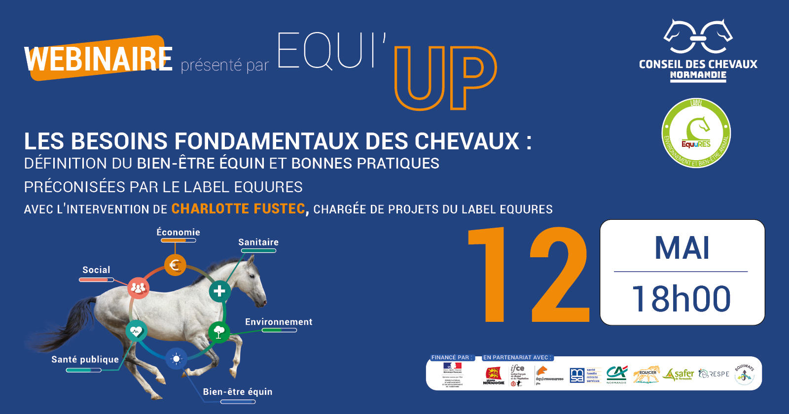 Webinaire Equi’UP : Les besoins fondamentaux des chevaux