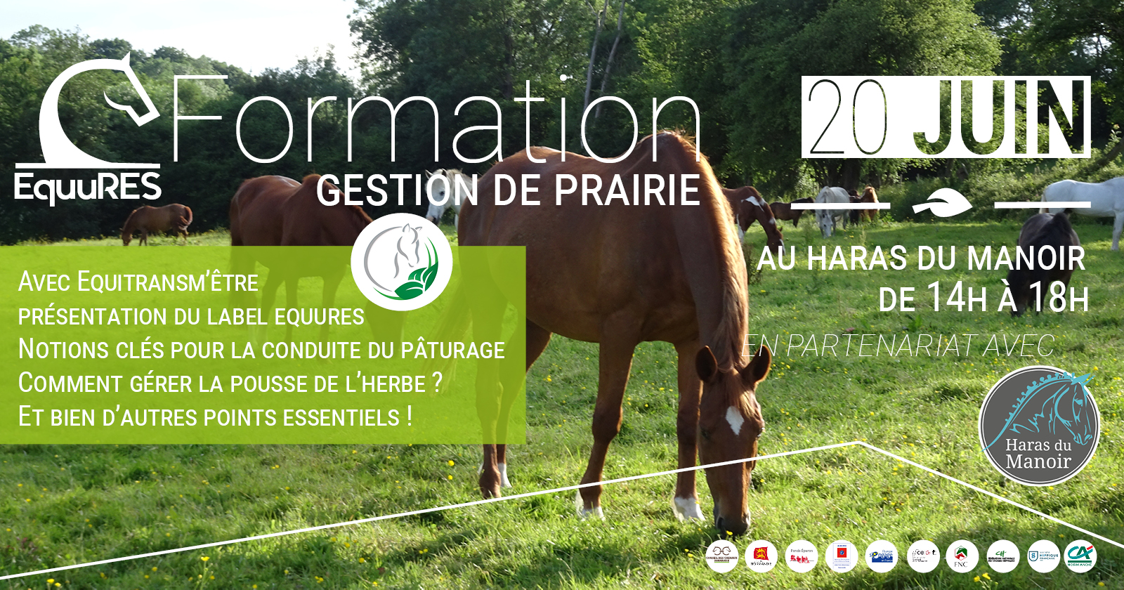Formation sur la gestion de prairies avec le Label EquuRES