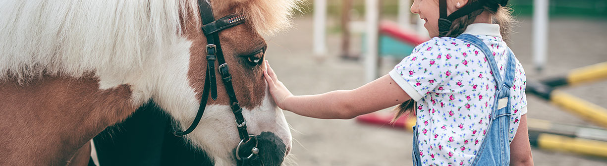 Opération Poney Ecole 2022