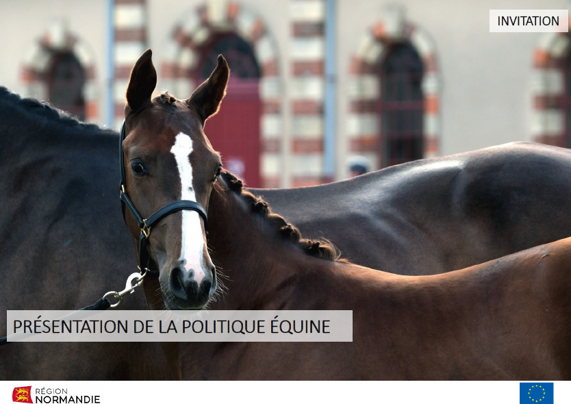 Lancement de la Nouvelle politique équine de la Région Normandie