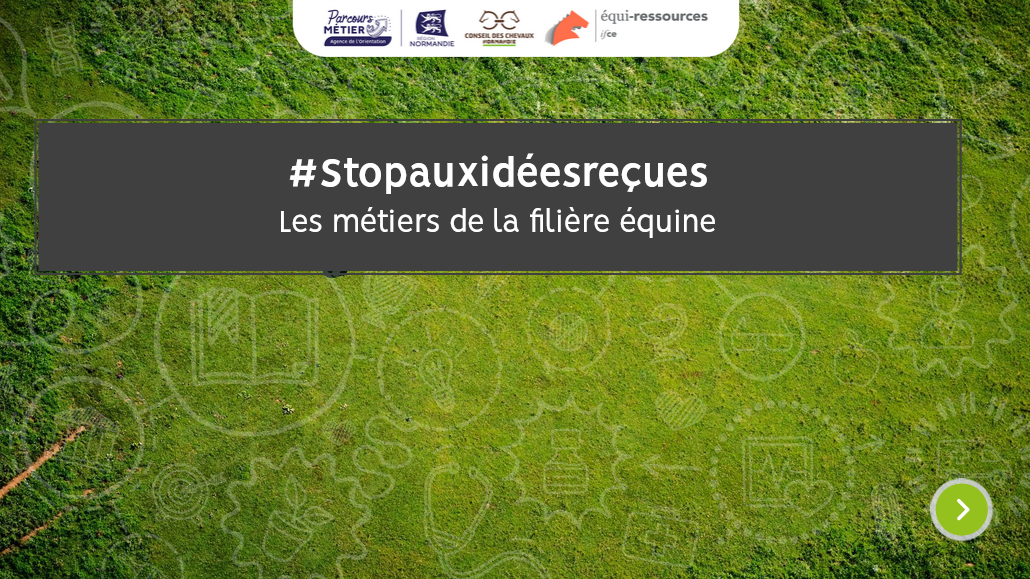 Notre nouveau guide interactif à découvrir sur les métiers de la filière équine