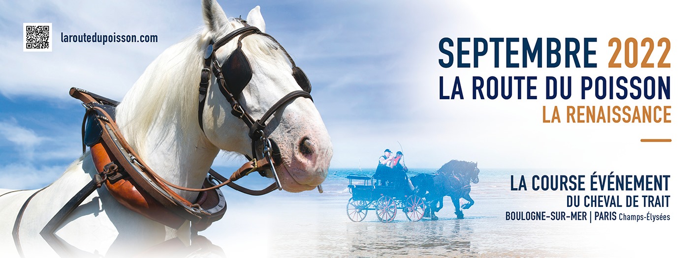 La Normandie en lice pour la Route du Poisson 2022