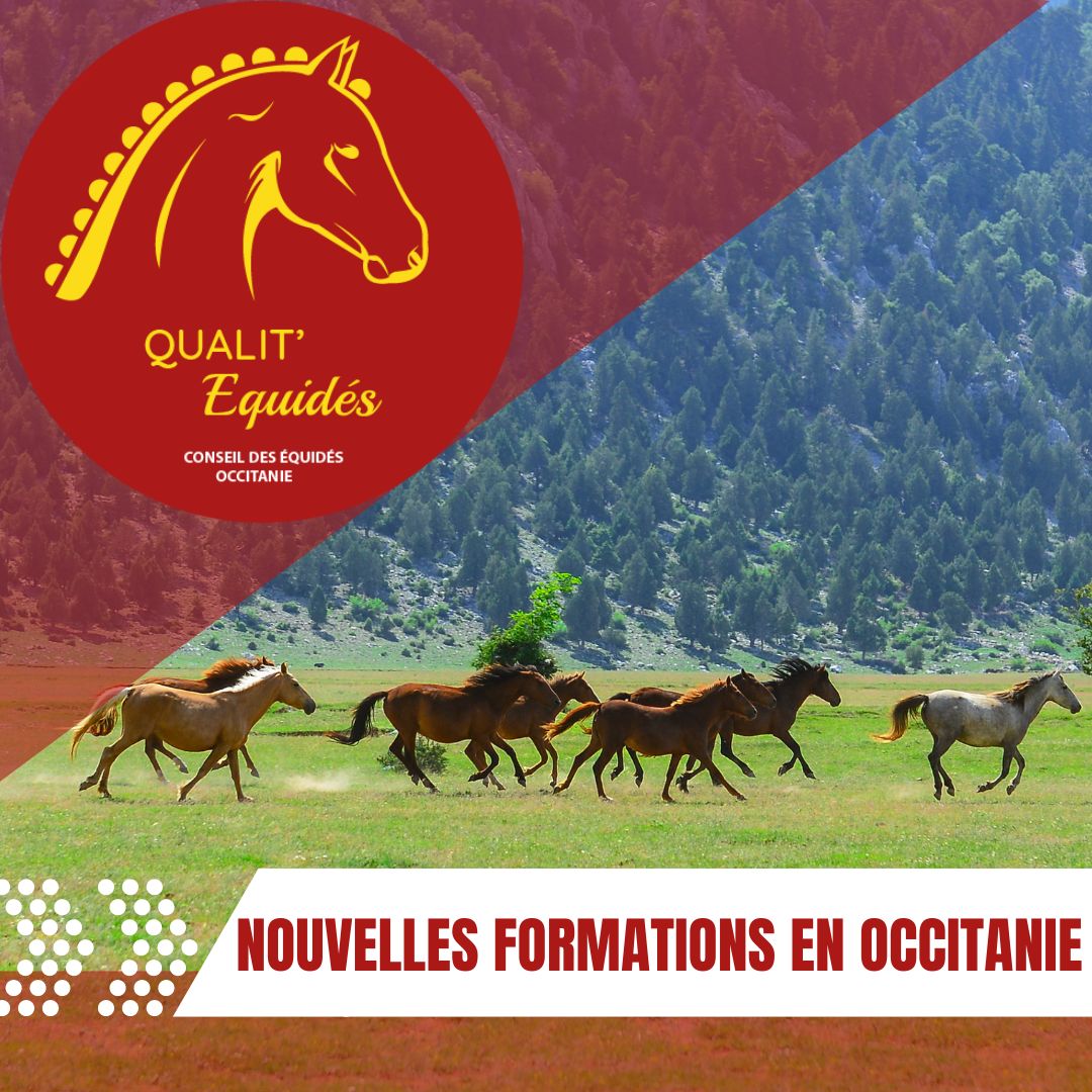 FORMATIONS QUALIT'EQUIDES