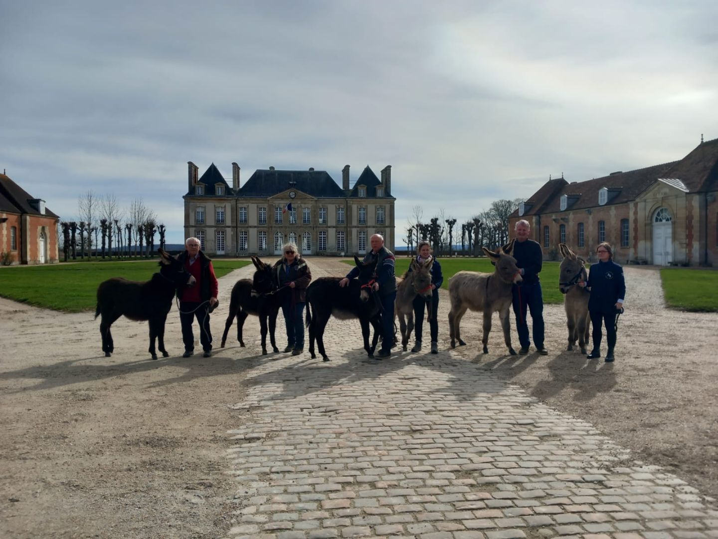 Arrivée des ânons au Centre de Valorisation