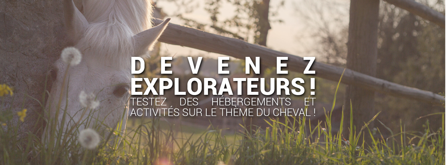 Devenez explorateur : testez et valorisez des offres de tourisme autour du cheval !