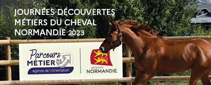 Journées découvertes des métiers du cheval