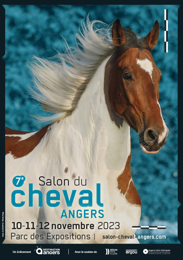 Le CEB sera présent au Salon du Cheval d'Angers