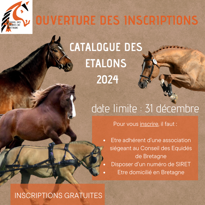 Inscriptions catalogue des étalons 2024, toutes races stationnés en Bretagne