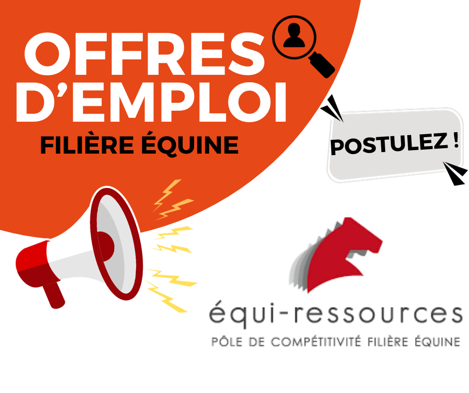 Bilan des offres d'emploi Equiressources au 30 Novembre 2023