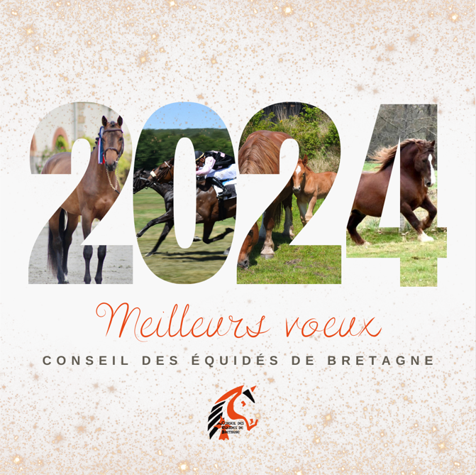 Le CEB vous souhaite un bonne année 2024