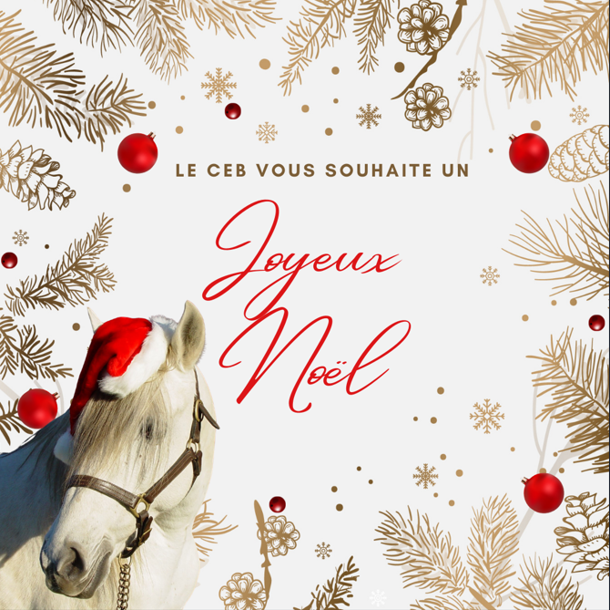 Le CEB vous souhaite un joyeux noël