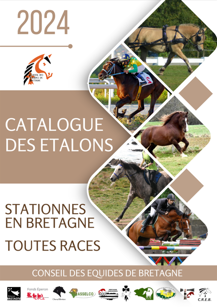 Inscriptions catalogue des étalons 2024, toutes races stationnés en Bretagne