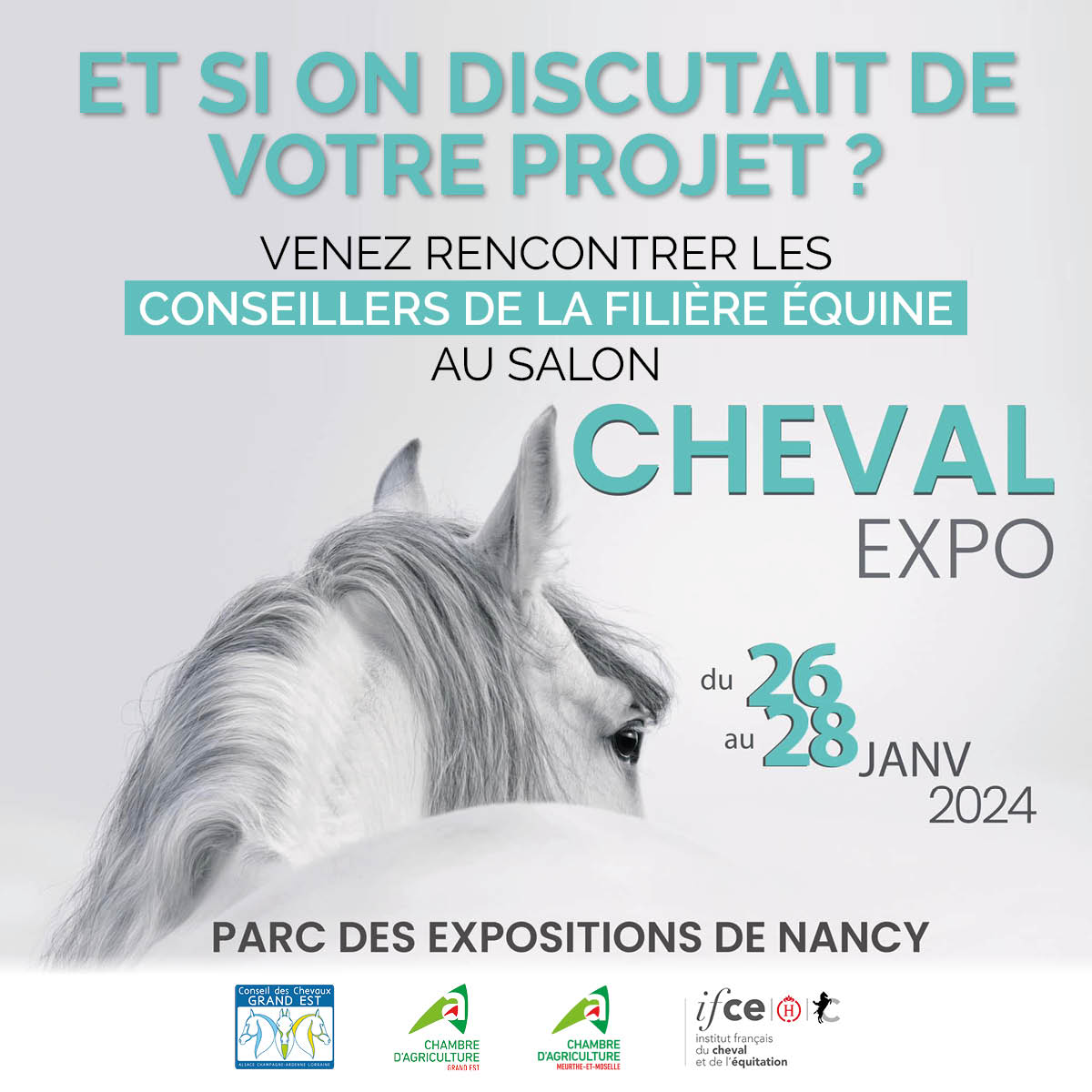 L'espace conseil de la filière équine sera présent à Cheval Expo