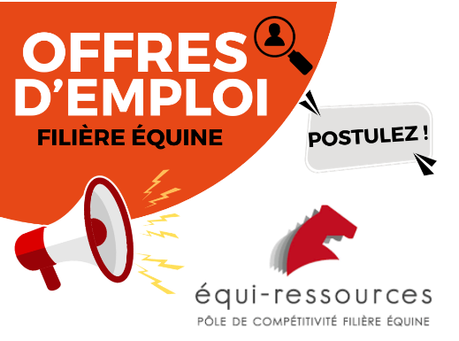 Bilan des offres d'emploi Equiressources au 31 Janvier 2024