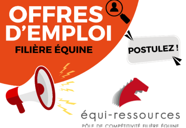 Bilan des offres d'emploi Equiressources au 29 Février 2024