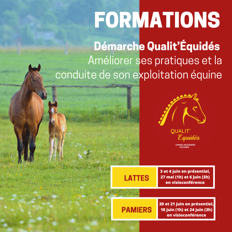 FORMATIONS QUALIT'EQUIDES
