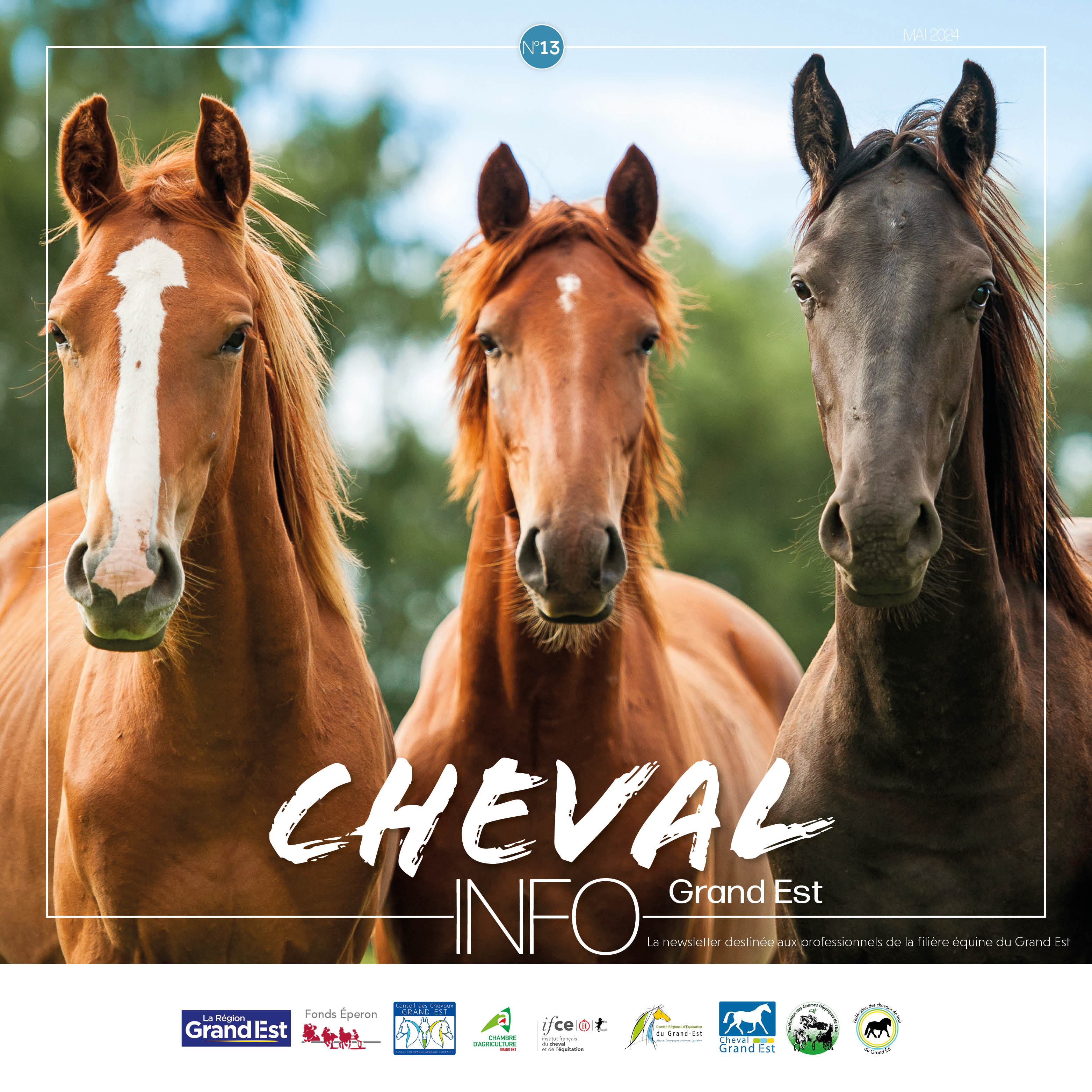 Le nouveau numéro de Cheval Info Grand Est est disponible !