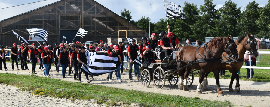 Le Conseil des Équidés de Bretagne présent à la Route du Trait Breizh 2024