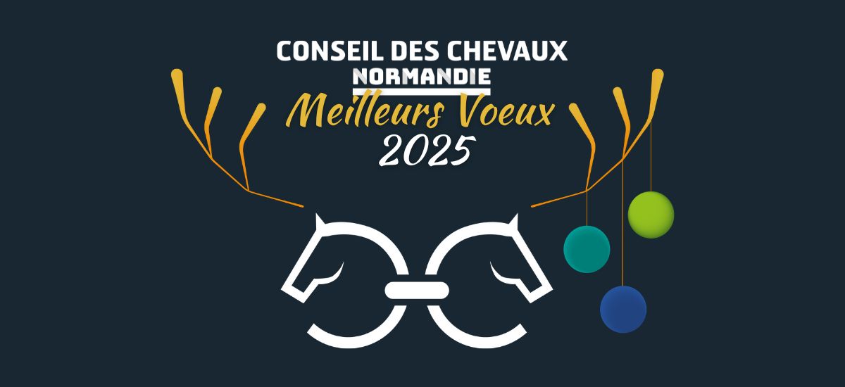 Meilleurs voeux 2025