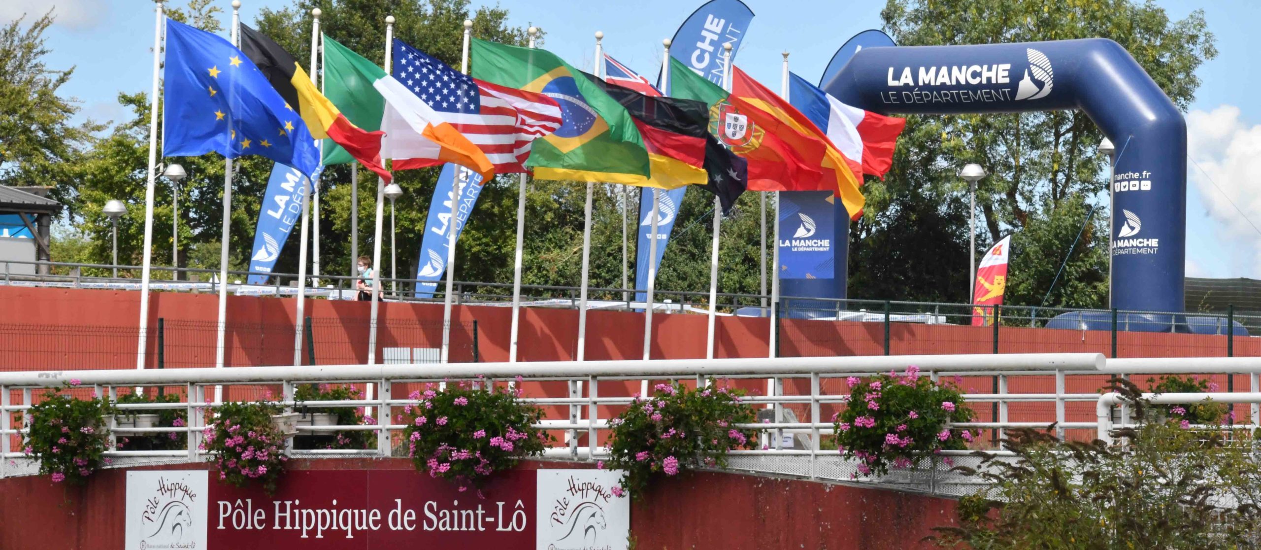 Weekend behind the scenes with sports horses in Normandy   