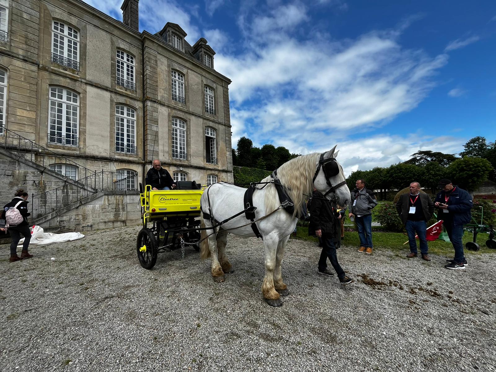 Cheval des Villes, Cheval des Champs, Au travail !