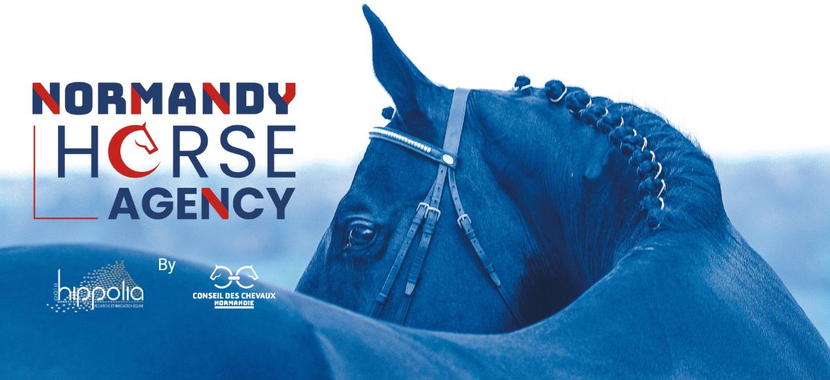 Normandy Horse Agency prépare les « day tours »