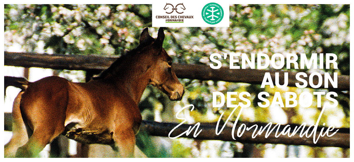 NOUVEAUTÉ : Découvrez notre brochure Vaolo !