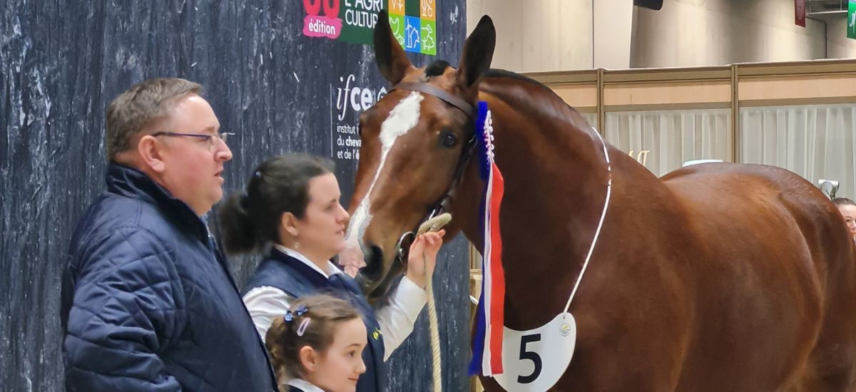 Salon International de l’Agriculture 2024 : Les Races Normandes se distinguent à la capitale