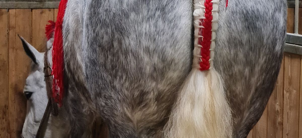 Le Conseil des Chevaux de Normandie au Salon International de l’Agriculture