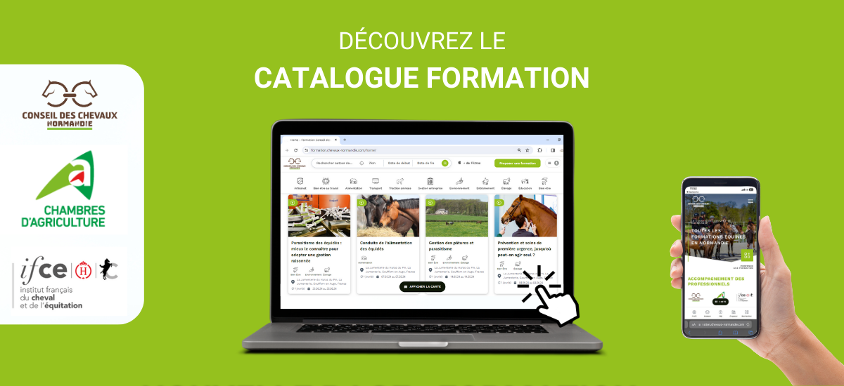 Nouveauté : un catalogue dédié à la formation sur le site internet du CCN