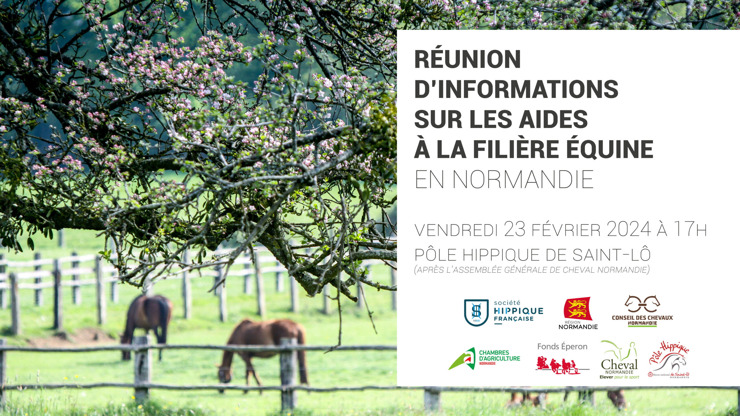 Aides à la filière équine en Normandie