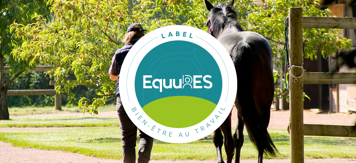 Label EquuRES Bien-être au Travail : Les 3 premiers labellisés