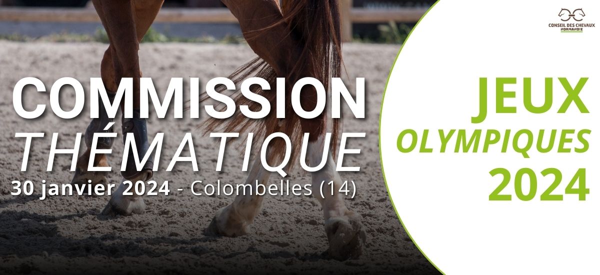 Commission thématique : Jeux Olympiques et Paralympique 2024
