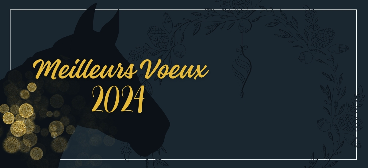Le Conseil des Chevaux de Normandie vous souhaite ses meilleurs vœux 2024