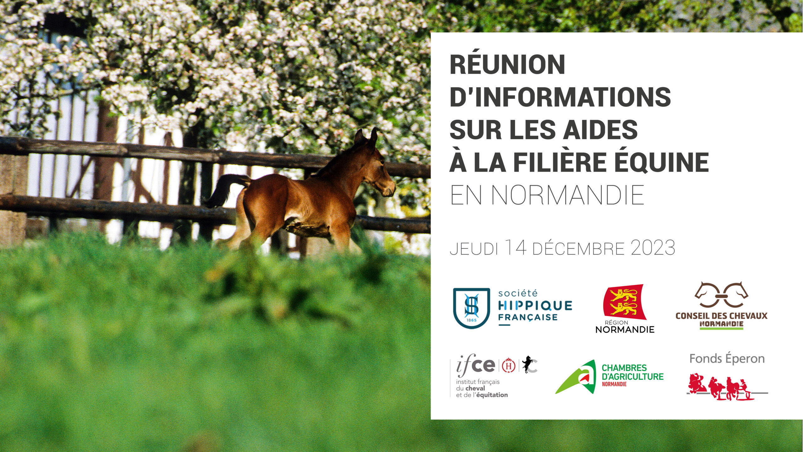 Aides à la filière équine en Normandie