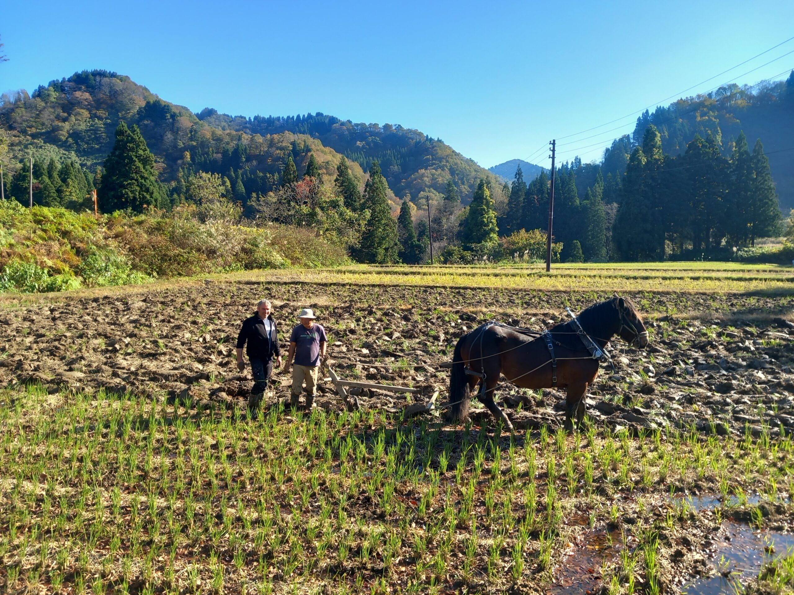 Le savoir-faire normand s’exporte au Japon