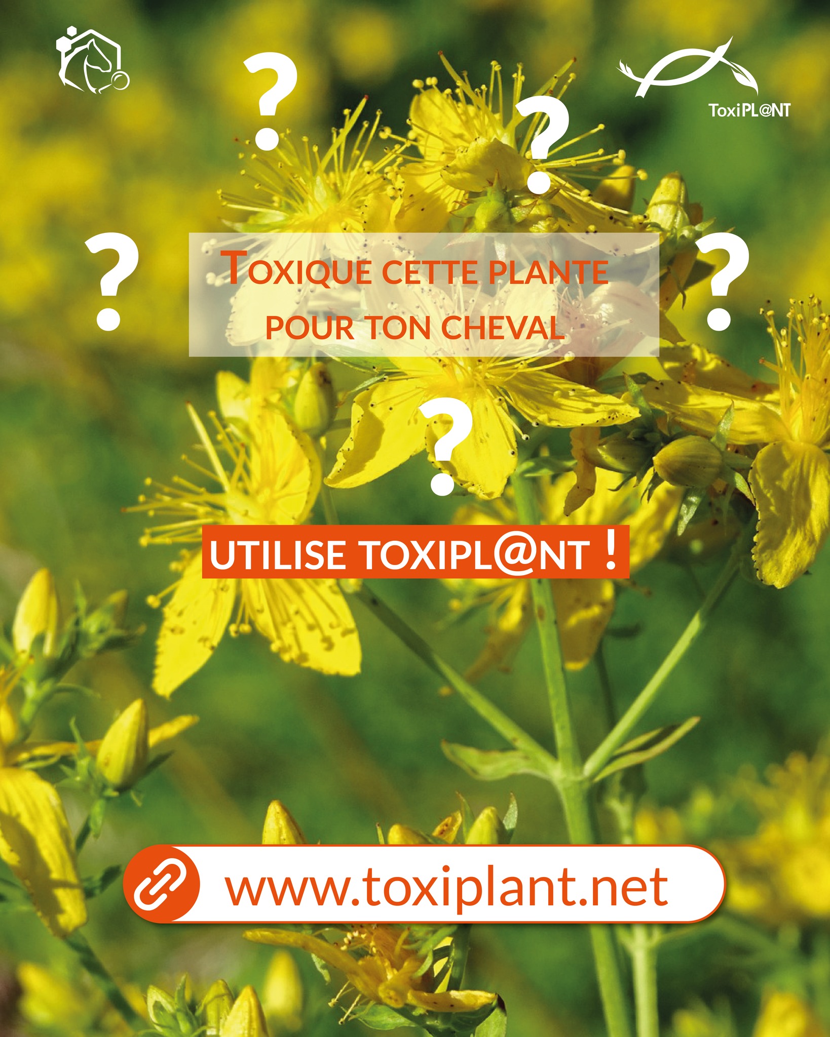 ToxiPL@NT