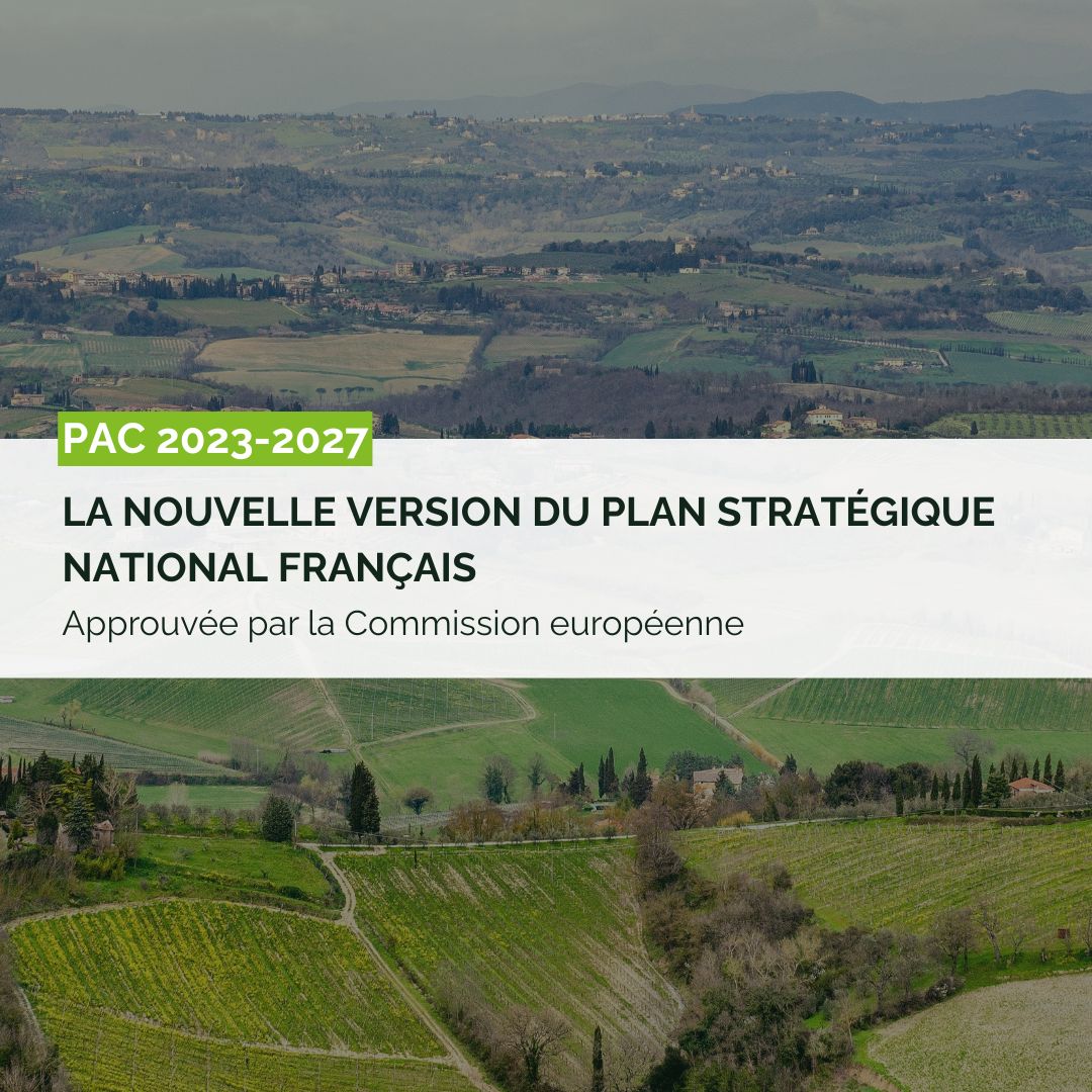 PAC 2023-2027 : le plan stratégique national français pour la campagne 2025 a été approuvé par la Commission européenne