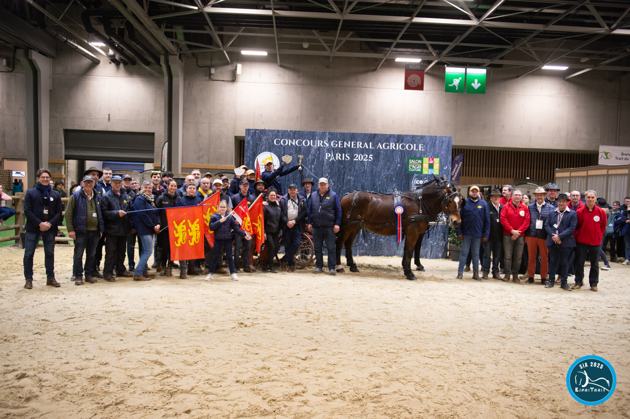 Les races patrimoniales normandes s’illustrent au Salon International de l’Agriculture
