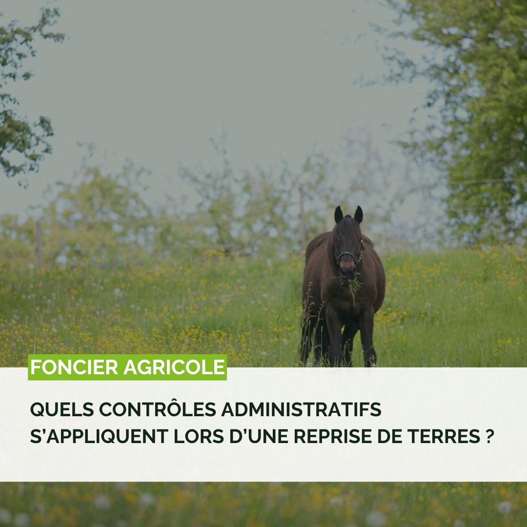 Quels contrôles administratifs s’appliquent lors d’une reprise de terres ?