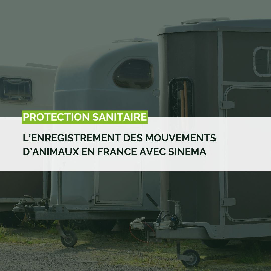 L’enregistrement des mouvements d’animaux en France avec SINEMA