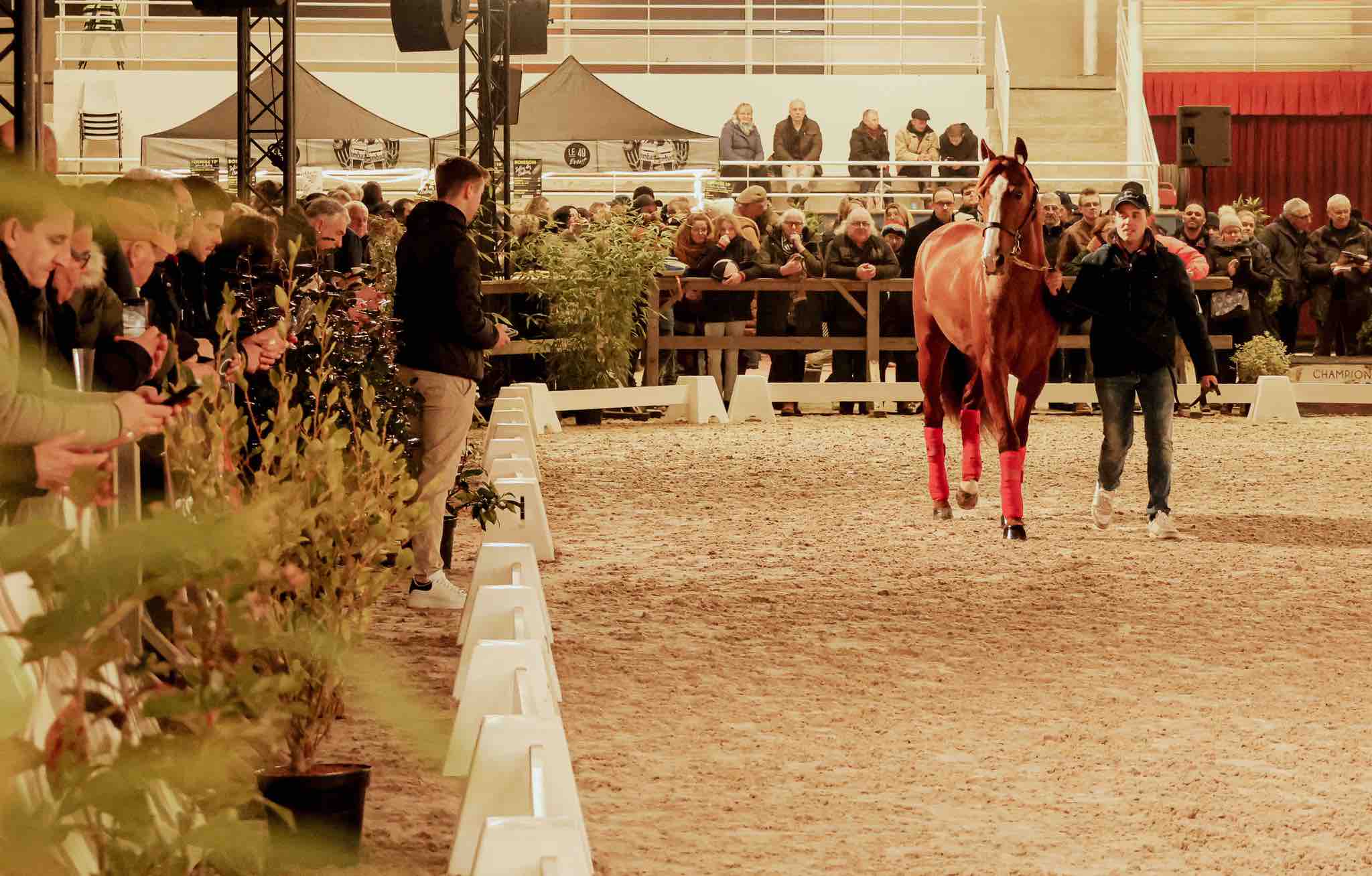 Retour sur le Salon du trot en Normandie 2025