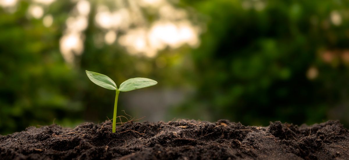 Une réflexion durable sur votre projet