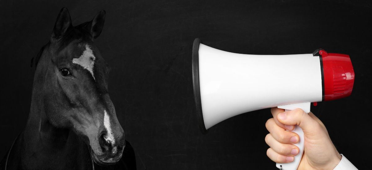 Optimisez la communication de votre offre : Charte graphique, logo, photographie et vidéo