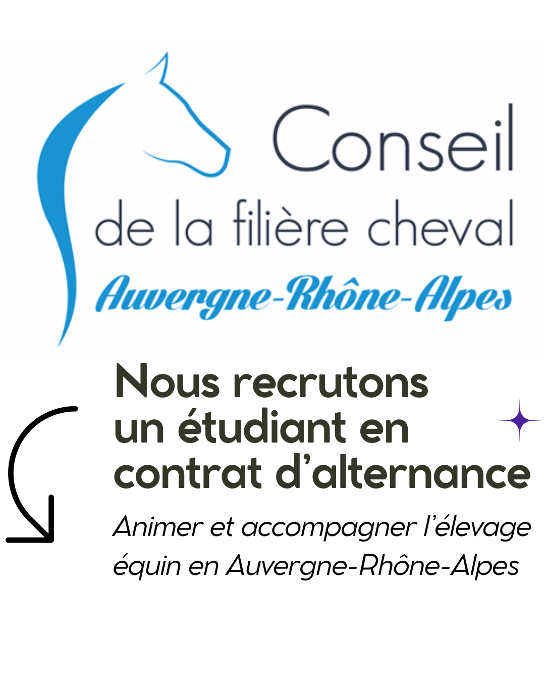 Offre de contrat d'alternance / Septembre 2025