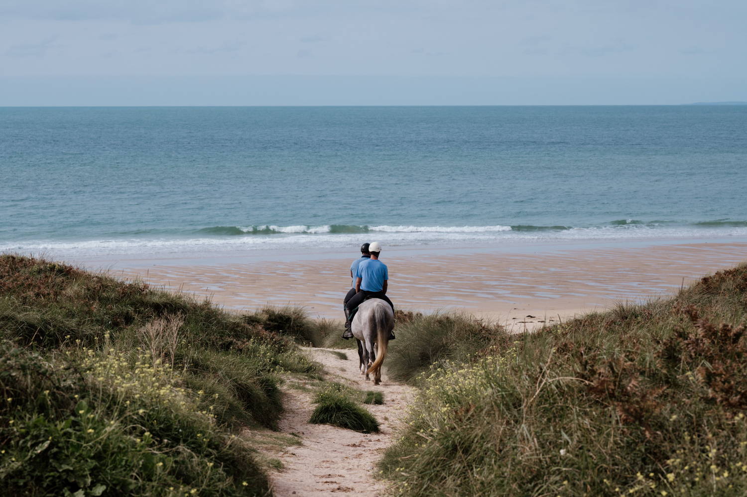Cet été, partez à l’aventure en Normandie… Au plus près des chevaux ! 
